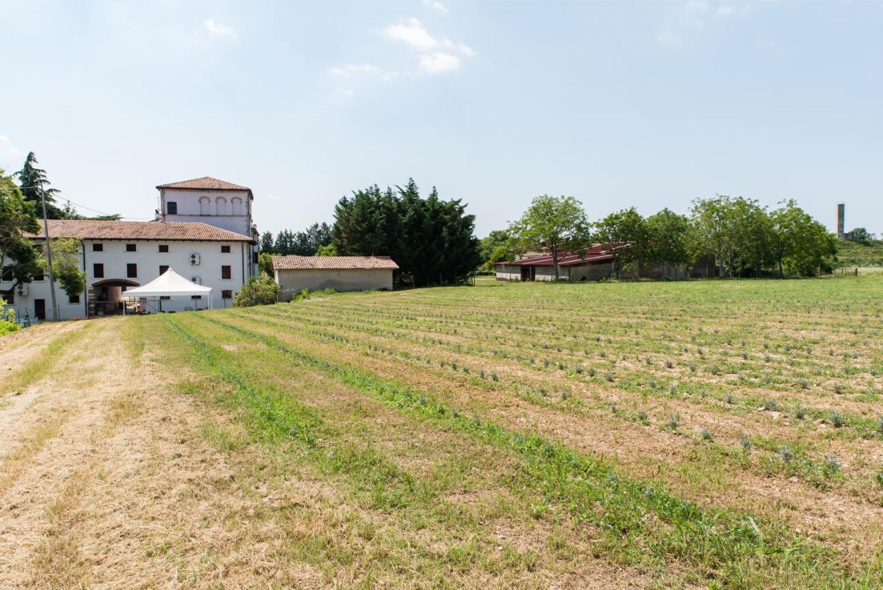 Agriturismo Colombare Teboi Lazise Eksteriør billede
