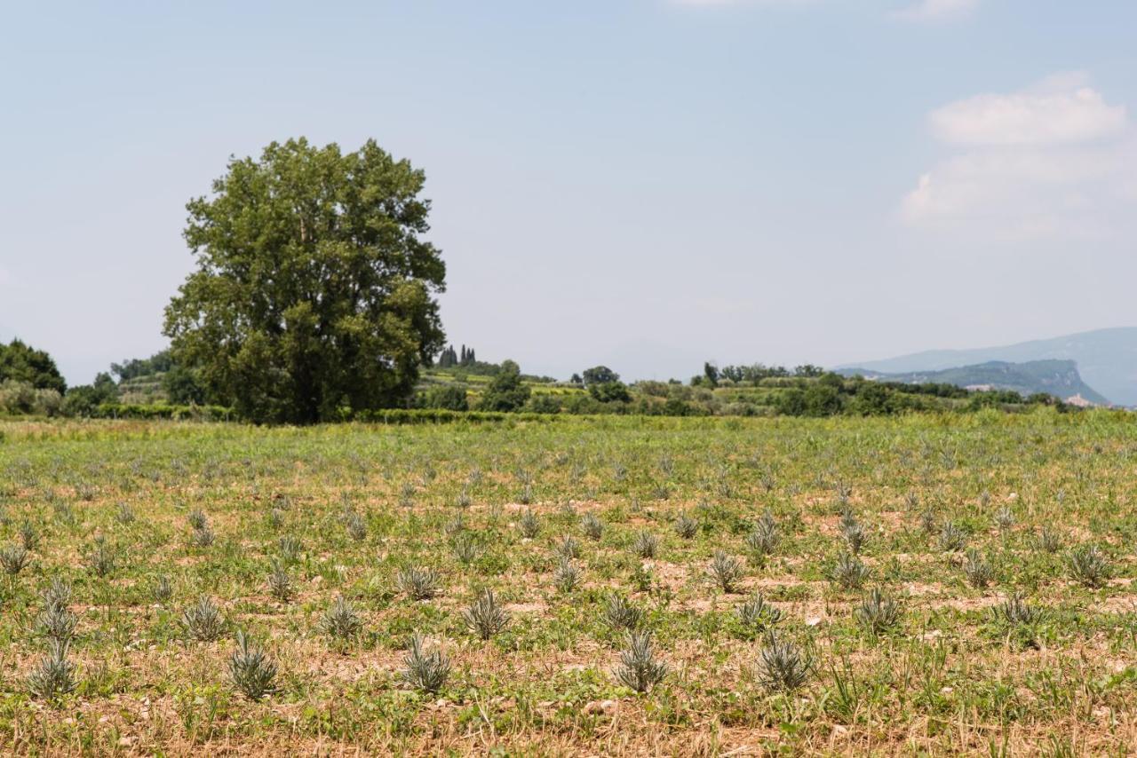 Agriturismo Colombare Teboi Lazise Eksteriør billede