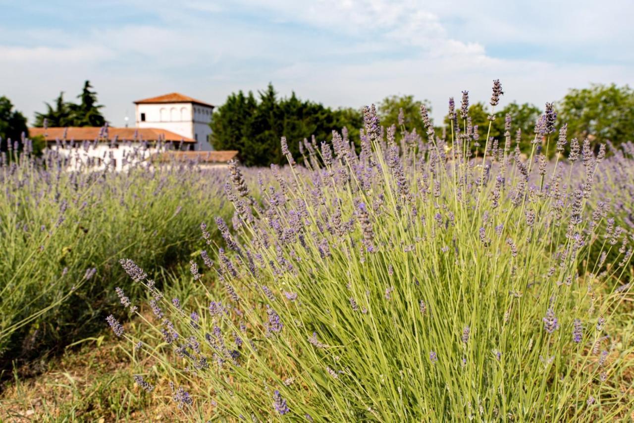 Agriturismo Colombare Teboi Lazise Eksteriør billede