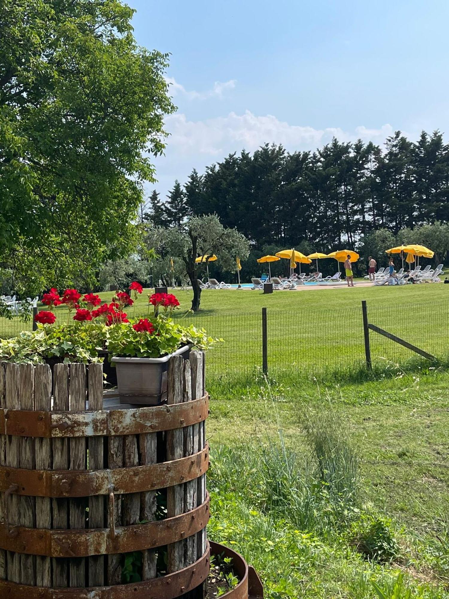 Agriturismo Colombare Teboi Lazise Eksteriør billede